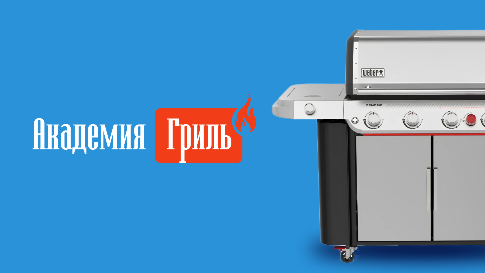 Академия Гриль