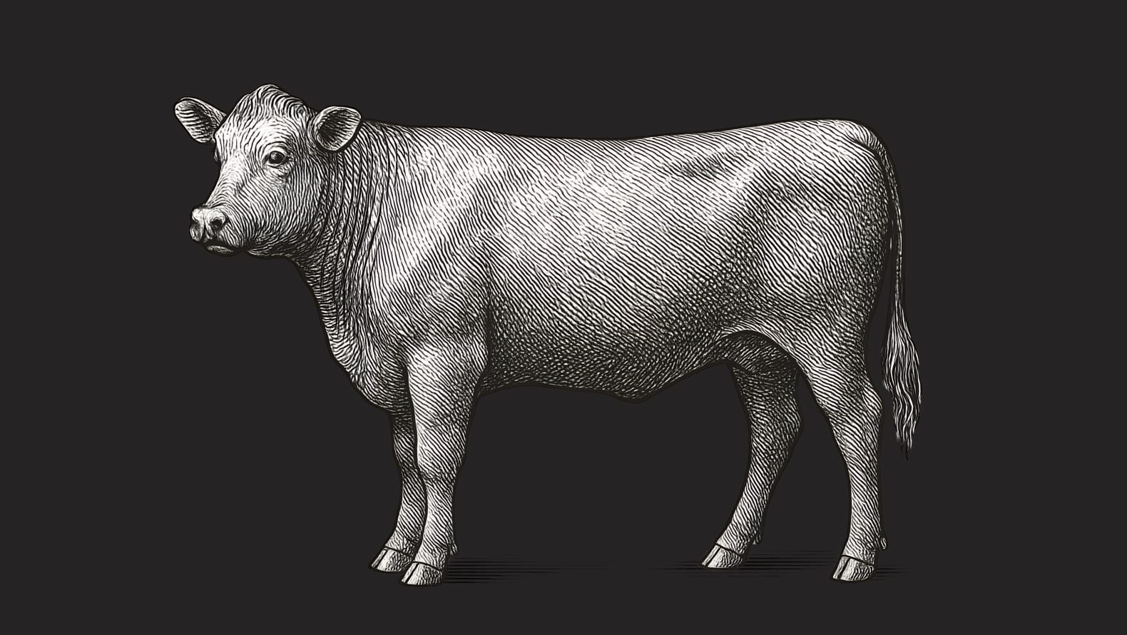 Primebeef — CRM, торговые точки, обратная связь и интеграции в Битрикс24